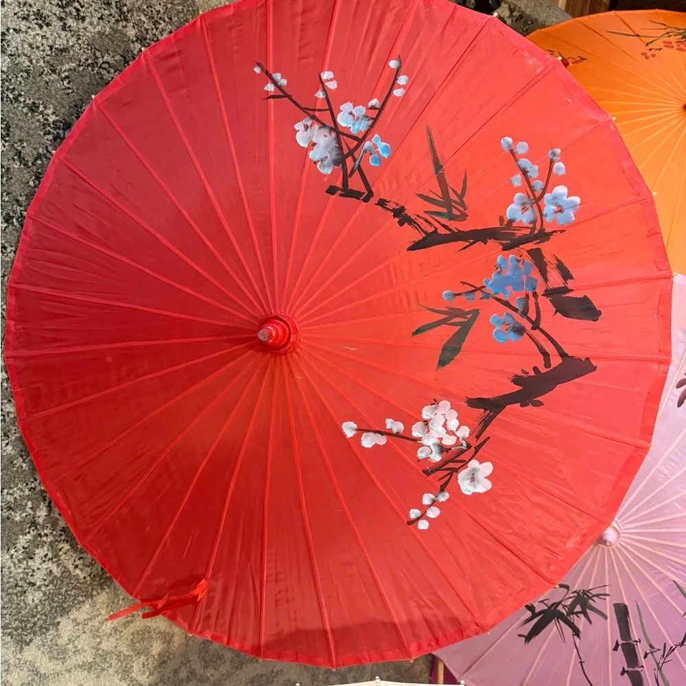 Nice Floral Decorative Japanese Photoshoot Sun Umbrellas - Multicolor Set of 10.